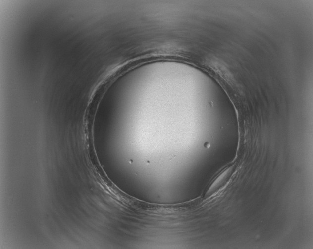 X0000069811164200606021457