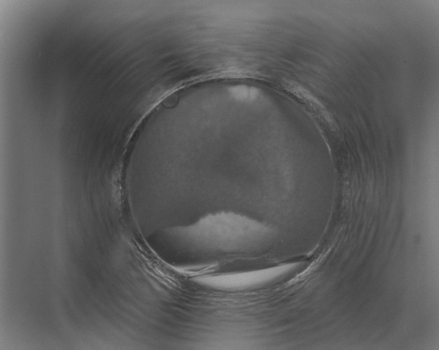 X0000069811170200606021457