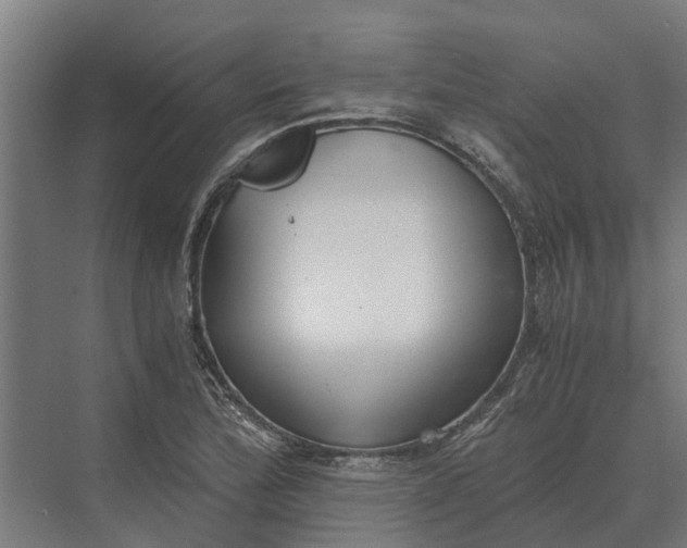 X0000069811172200606021457