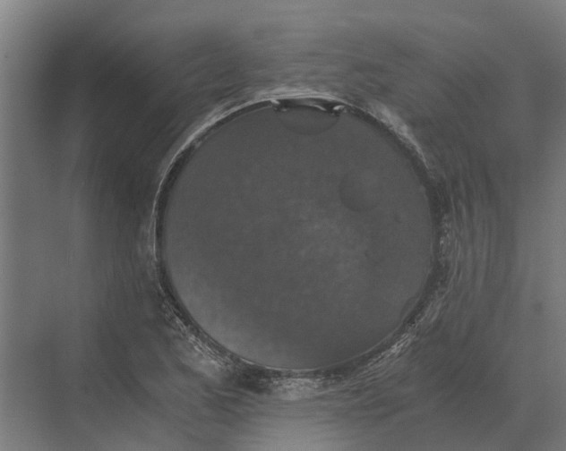 X0000069811173200606021457