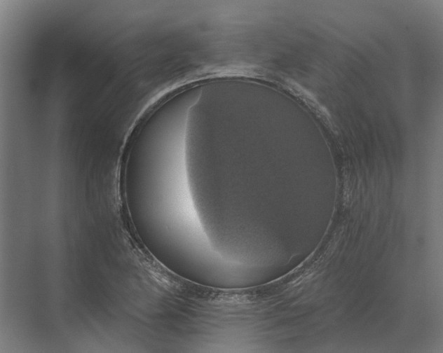 X0000069811174200606021457