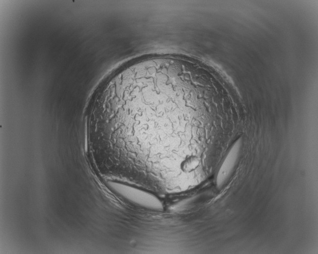 X0000069811175200606021457