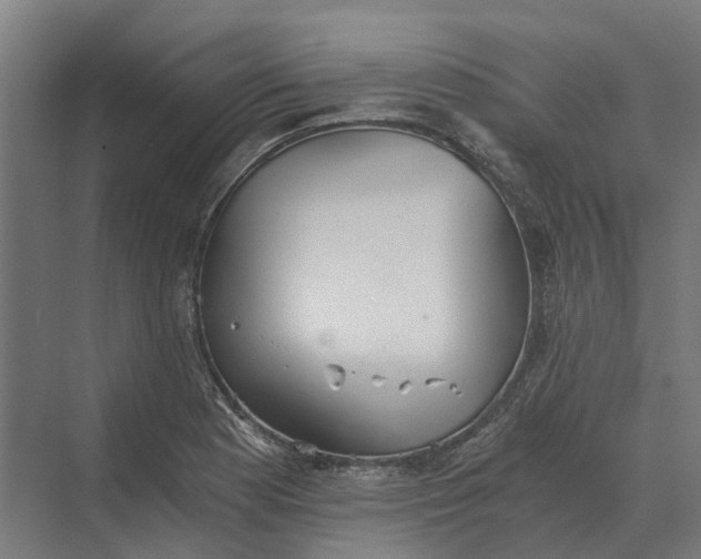 X0000069811177200606021457