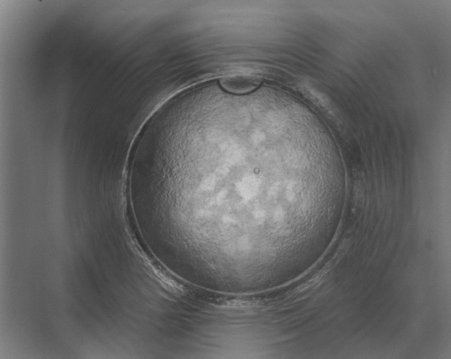 X0000069811178200606021457