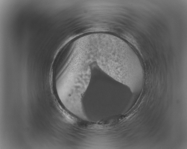 X0000069811179200606021457