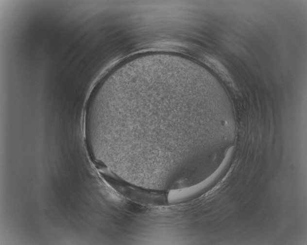 X0000069811180200606021457