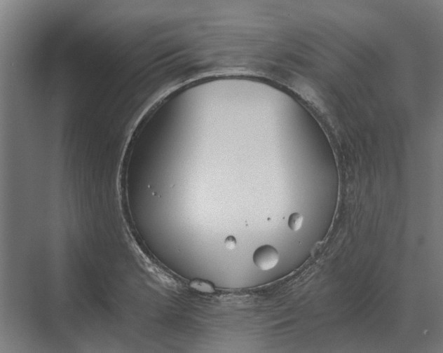 X0000069811181200606021457