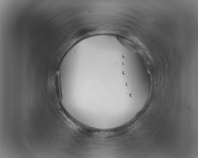 X0000069811185200606021457