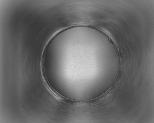 X0000069811187200606021457