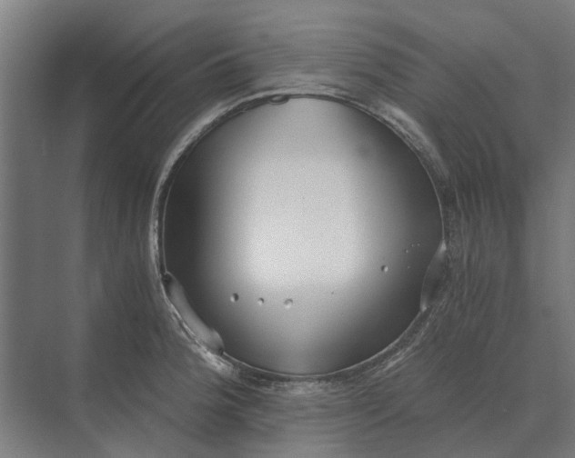 X0000069811188200606021457