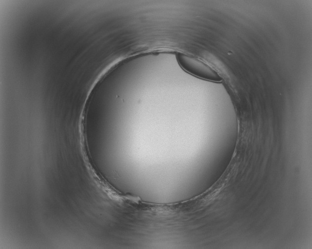 X0000069811190200606021457