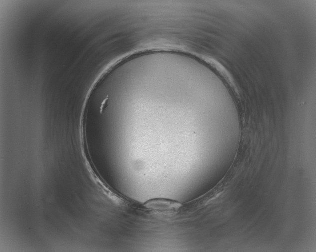 X0000069811191200606021457