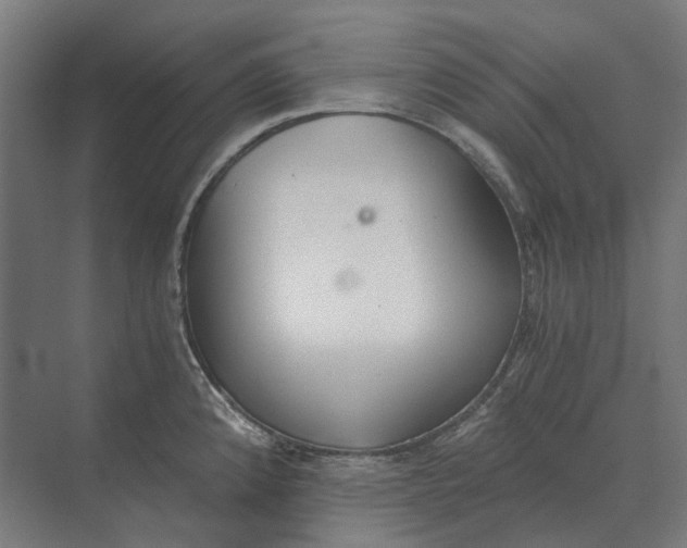 X0000069811192200606021457