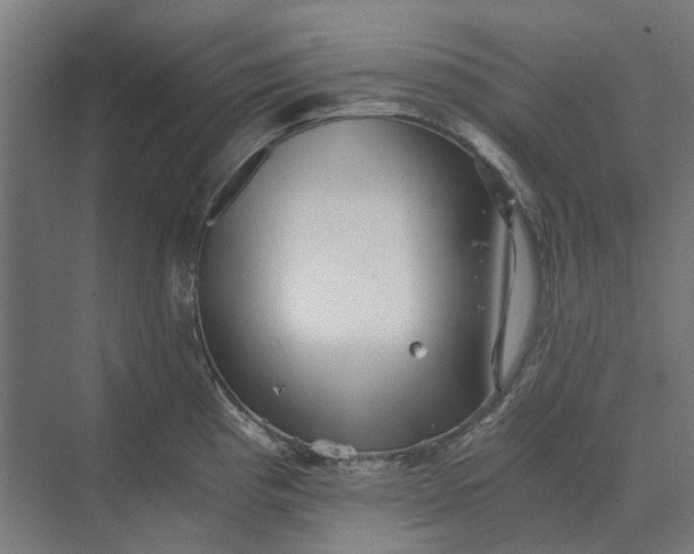 X0000069811193200606021457