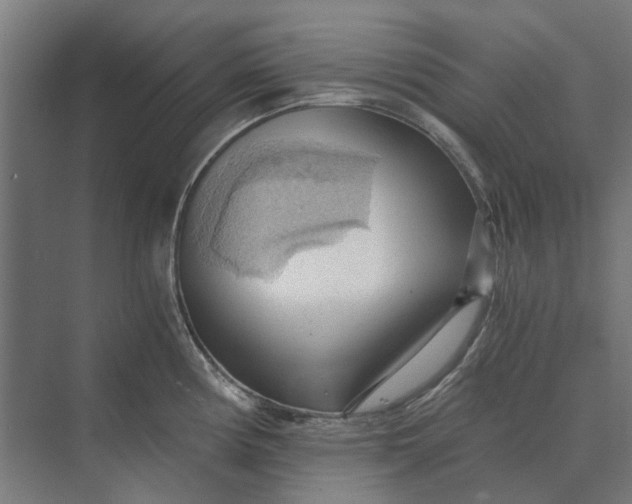 X0000069811194200606021457