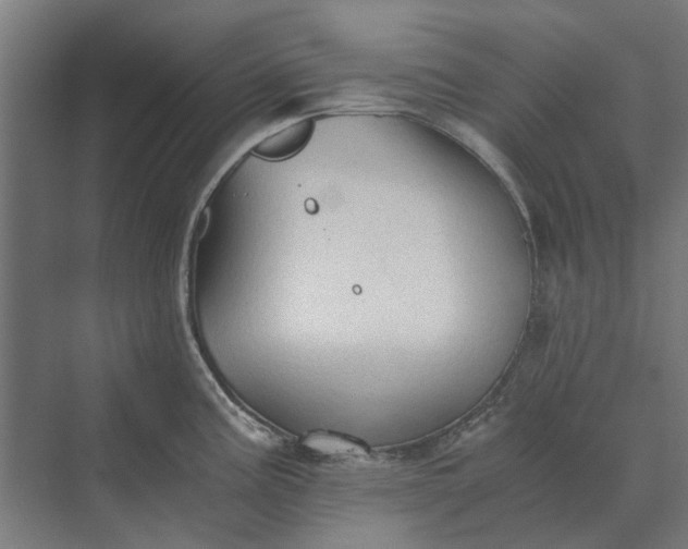 X0000069811195200606021457