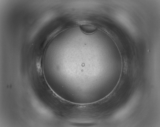 X0000069811198200606021457