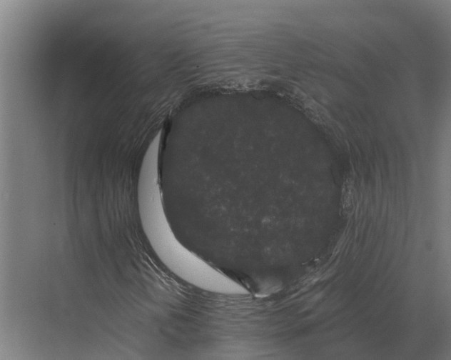 X0000069811202200606021456