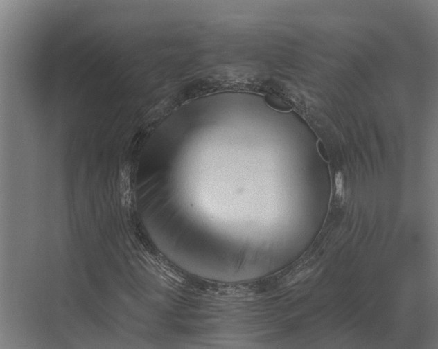 X0000069811203200606021456