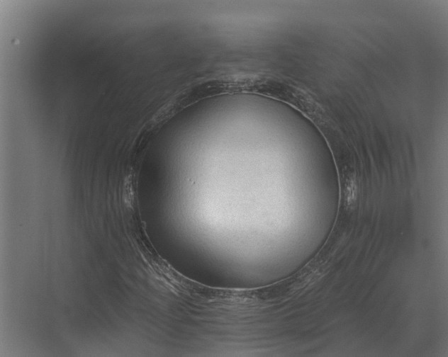 X0000069811204200606021456