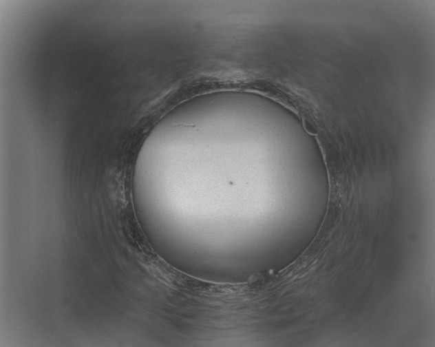 X0000069811205200606021456