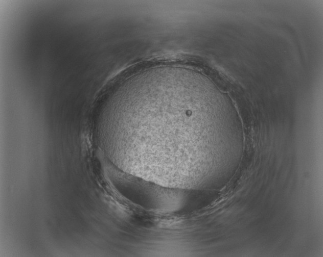 X0000069811206200606021456