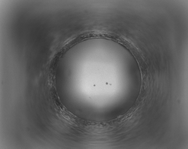 X0000069811207200606021456