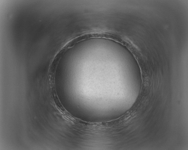 X0000069811208200606021456