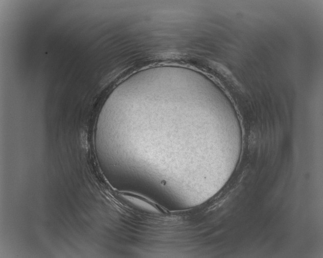 X0000069811209200606021456