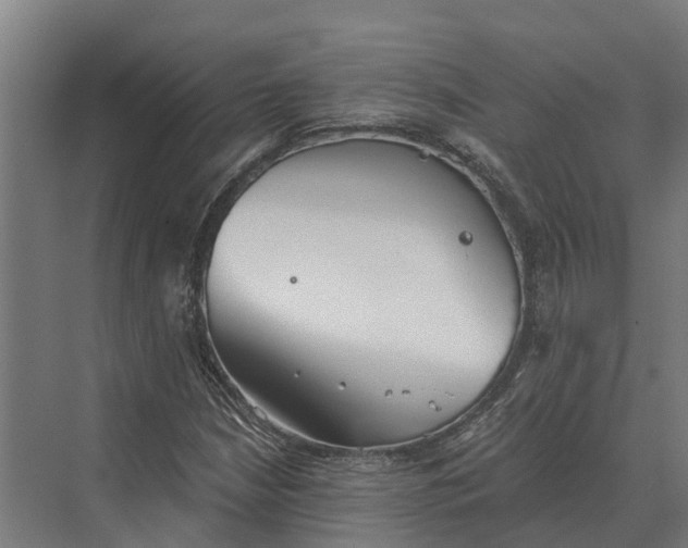 X0000069811210200606021456