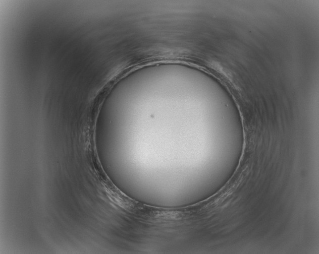 X0000069811211200606021456