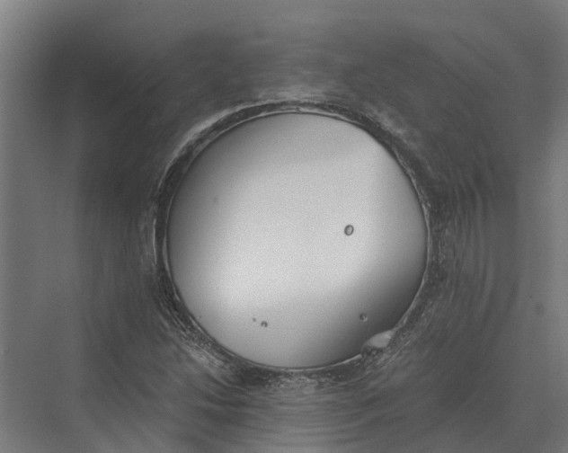 X0000069811214200606021456