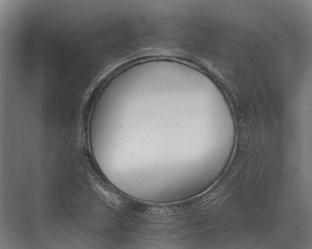 X0000069811215200606021456