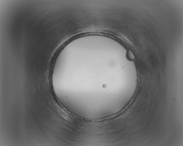 X0000069811216200606021456