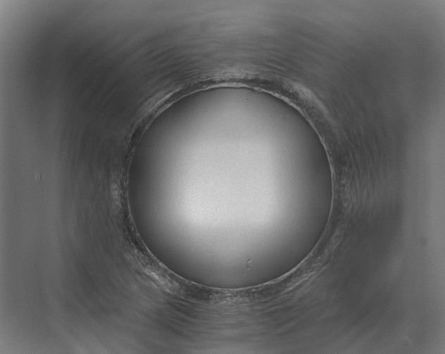 X0000069811217200606021456