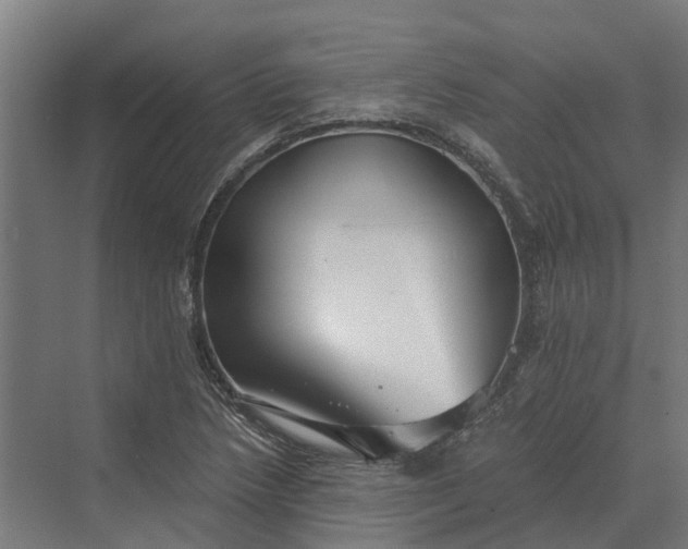 X0000069811218200606021456