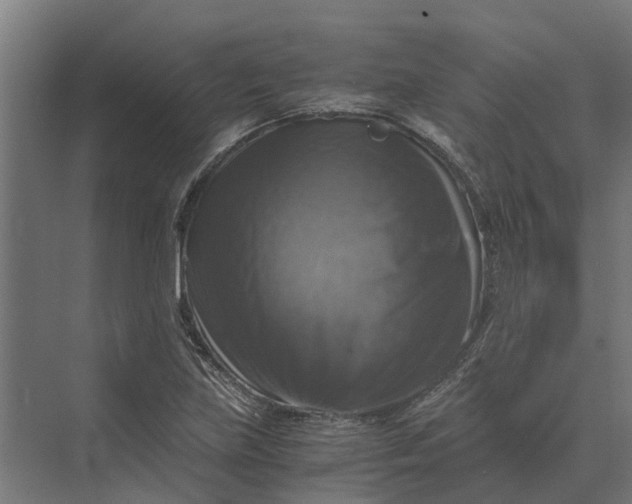 X0000069811219200606021456