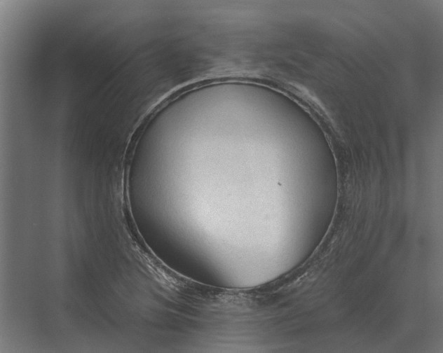 X0000069811220200606021456