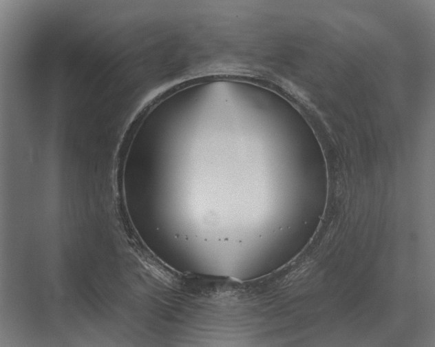 X0000069811222200606021456