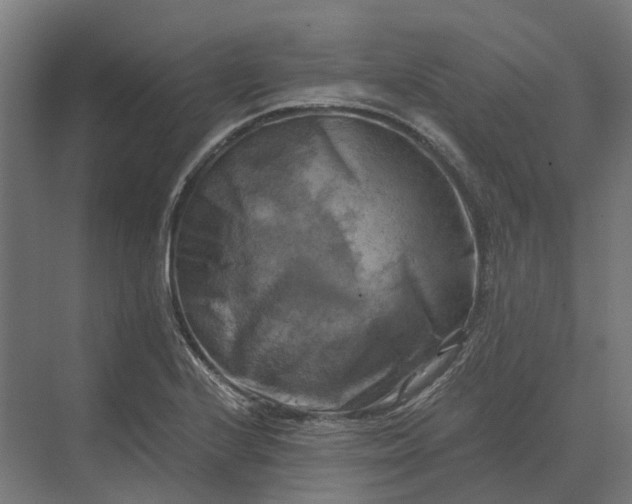 X0000069811224200606021456