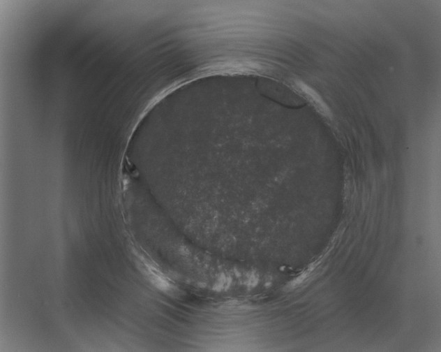 X0000069811226200606021456