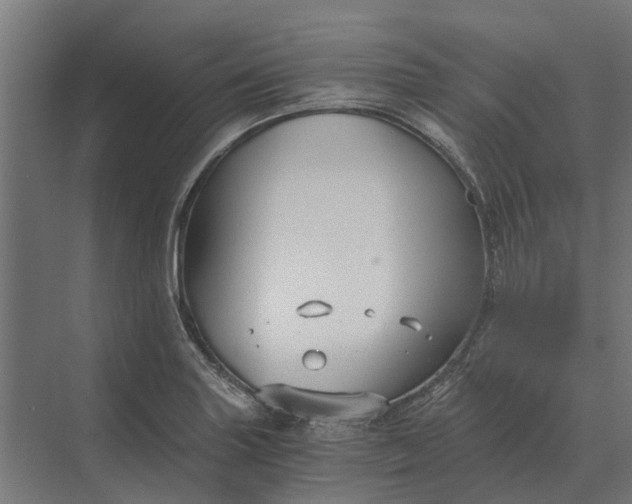 X0000069811227200606021457