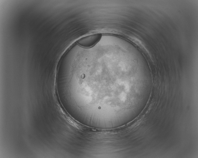 X0000069811228200606021457