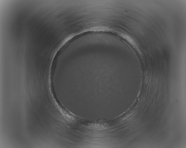 X0000069811229200606021457