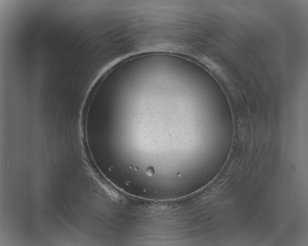 X0000069811230200606021457