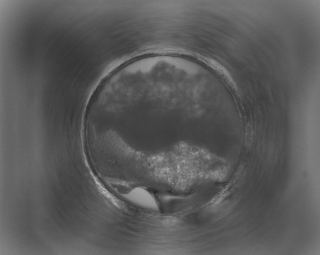 X0000069811231200606021457