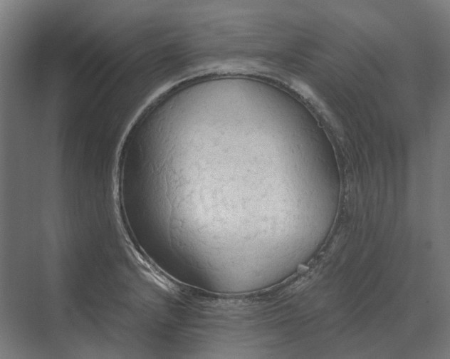 X0000069811232200606021457