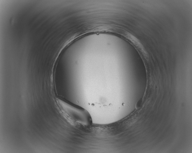 X0000069811234200606021457