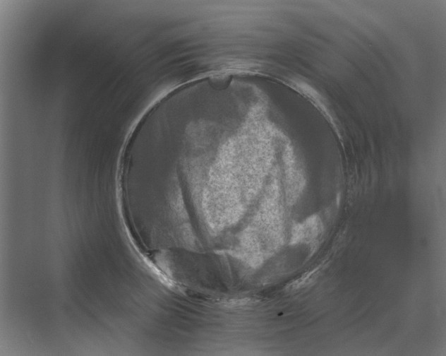 X0000069811235200606021457