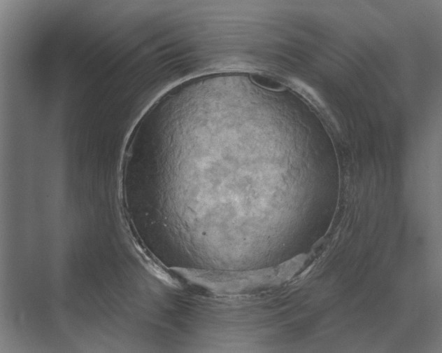 X0000069811236200606021457